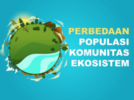 perbedaan populasi, komunitas, dan ekosistem
